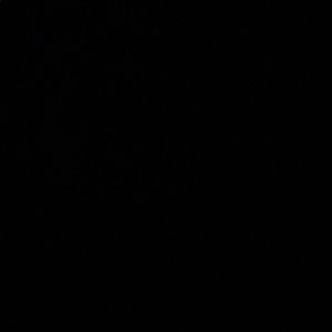 Meet your Posher, Hailey